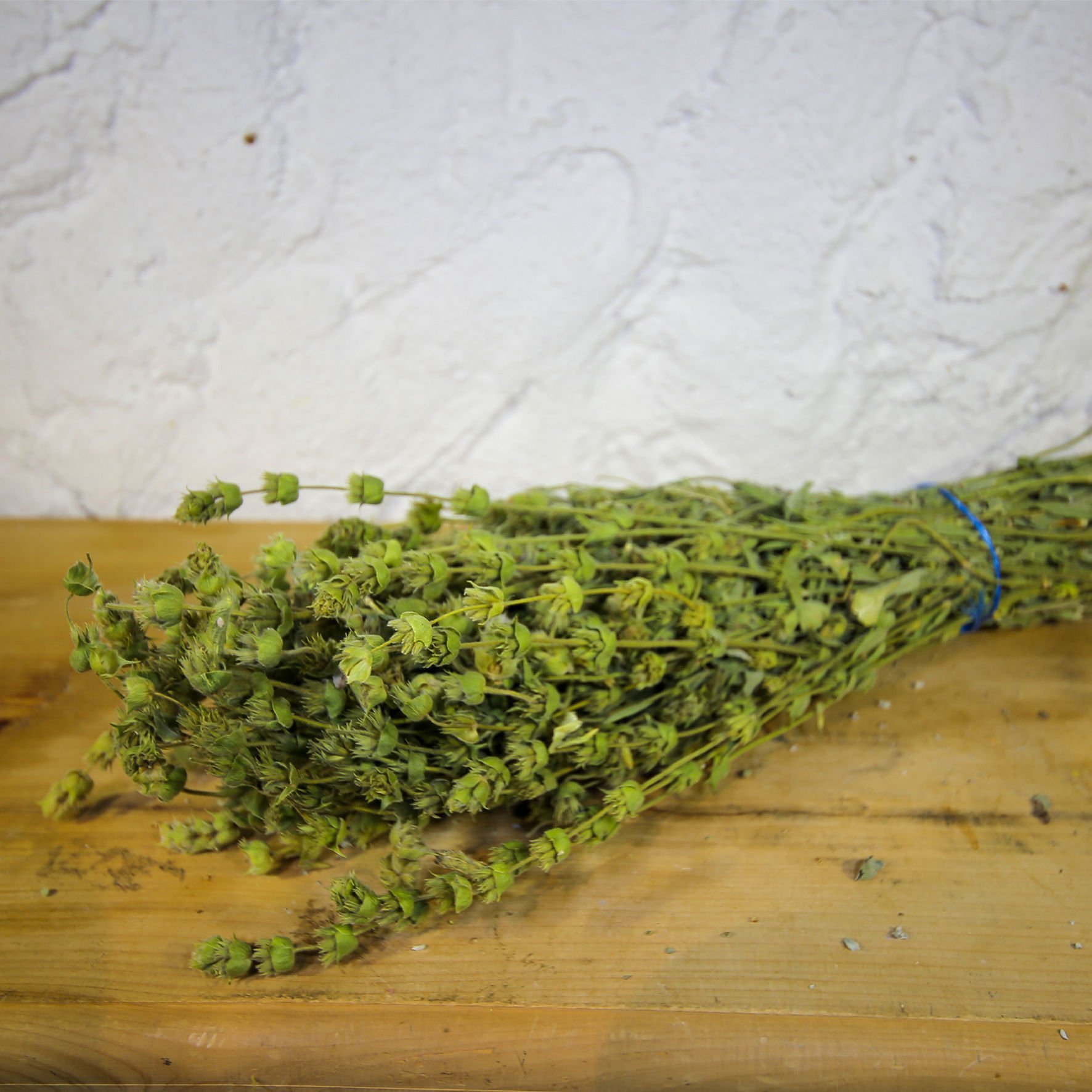 Ada Çayı Bitki Çayı