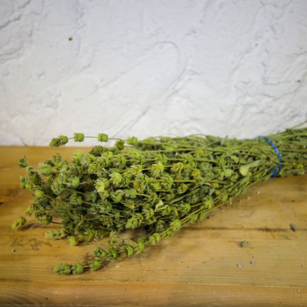 Ada Çayı Bitki Çayı