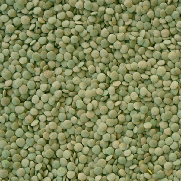 Hasata Yozgat Sultani Yeşil Mercimek 1 Kg